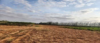 Restoring Rangelands in Somalia